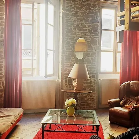 Appartement Loft Charmant En Centre-ville *